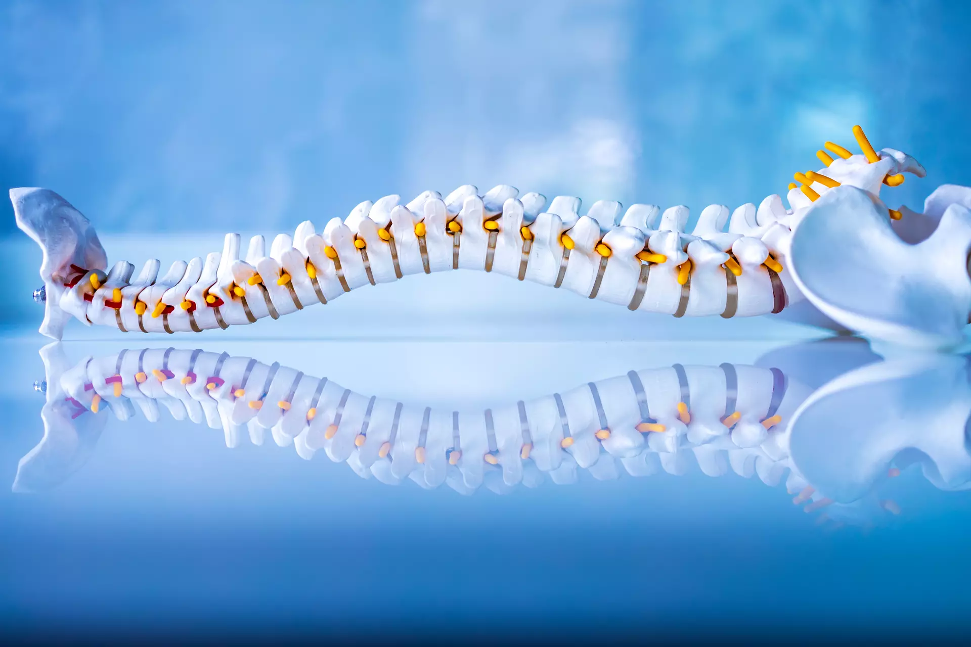 Spinal Cord Stimulation